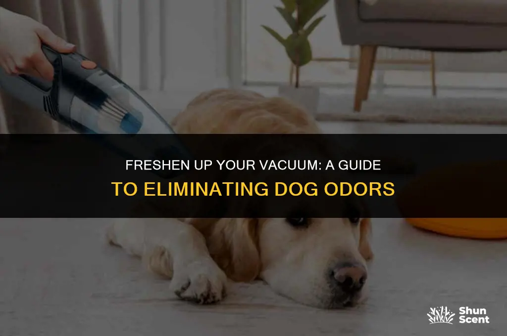 how to clean a vacuum that smells like dog