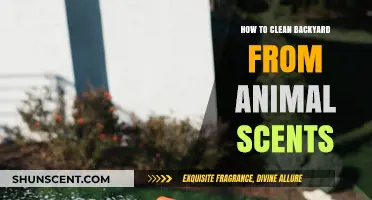 Effective Ways to Eliminate Animal Scents from Your Backyard