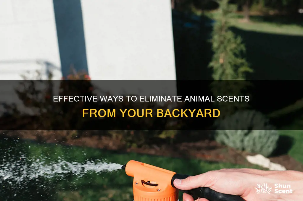 how to clean backyard from animal scents