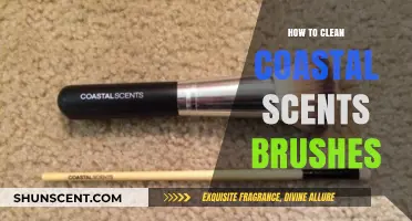Effective Coastal Scents Brush Cleaning Tips for Longevity and Hygiene