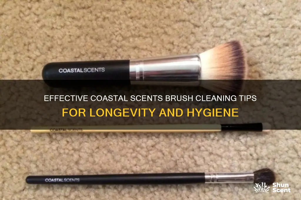 how to clean coastal scents brushes