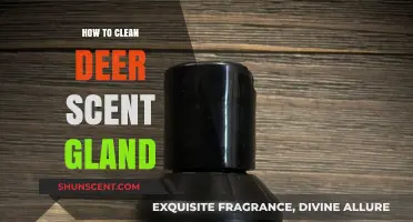 Effective Methods to Clean and Remove Deer Scent Gland Odor