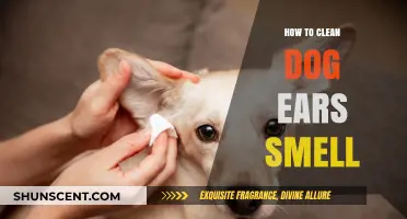 Freshen Up Your Pup: A Guide to Eliminating Dog Ear Odor