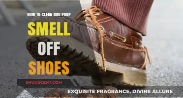 Effective Ways to Remove Dog Poop Smell from Shoes
