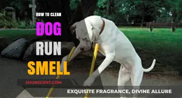 Freshen Up Your Pup's Pad: A Guide to Odor-Free Dog Runs