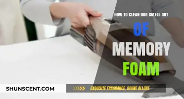 Freshening Up: Removing Dog Odors from Memory Foam