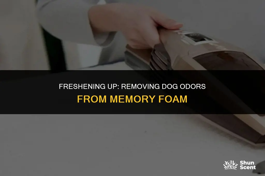 how to clean dog smell out of memory foam
