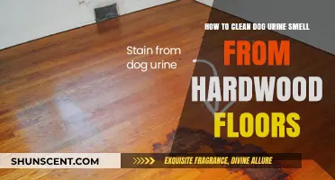 Effective Tips to Remove Dog Urine Odor from Hardwood Floors