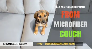 Effective Tips to Remove Dog Urine Odor from Microfiber Couches