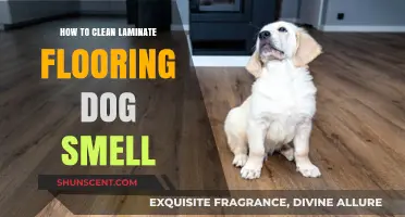 Banish Pet Odors: A Guide to Cleaning Laminate Floors with Dog Smell