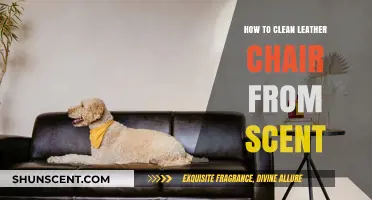 Effective Ways to Remove Unwanted Odors from Leather Chairs
