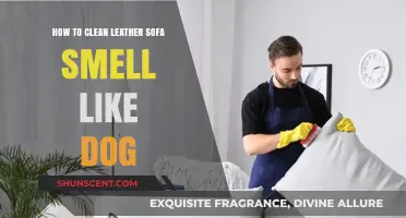 Freshen Up Your Leather Sofa: A Guide to Removing Dog Odors