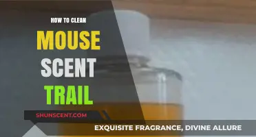 Eliminate Mouse Scent Trails: Effective Cleaning Tips for a Pest-Free Home