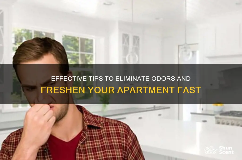 how to clean out the scent of an apartment