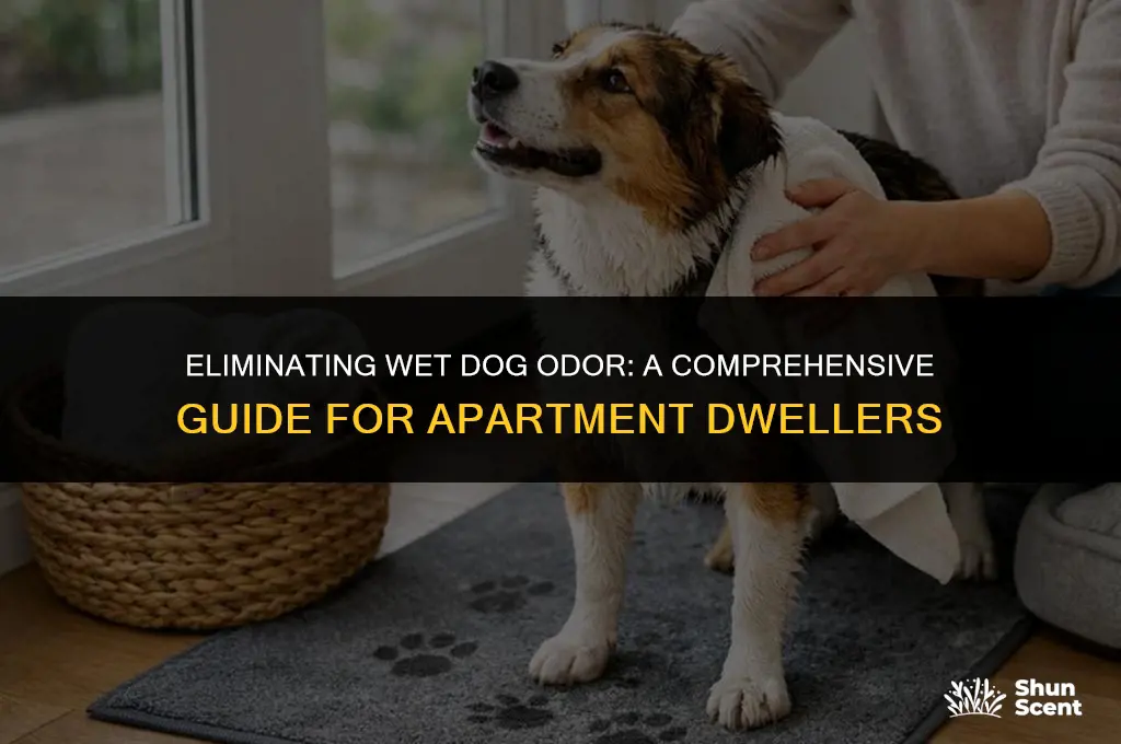 how to clean out wet dog smell in an apartment