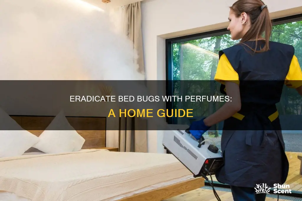 how to clean perfume in bed bugs from home