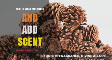 Freshen Your Space: Cleaning and Scenting Pine Cones for Home Decor