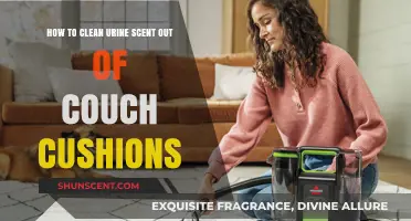 Effective Ways to Remove Urine Smell from Couch Cushions