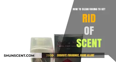 Fresh and Clean: Gentle Vaginal Hygiene Tips to Eliminate Odors