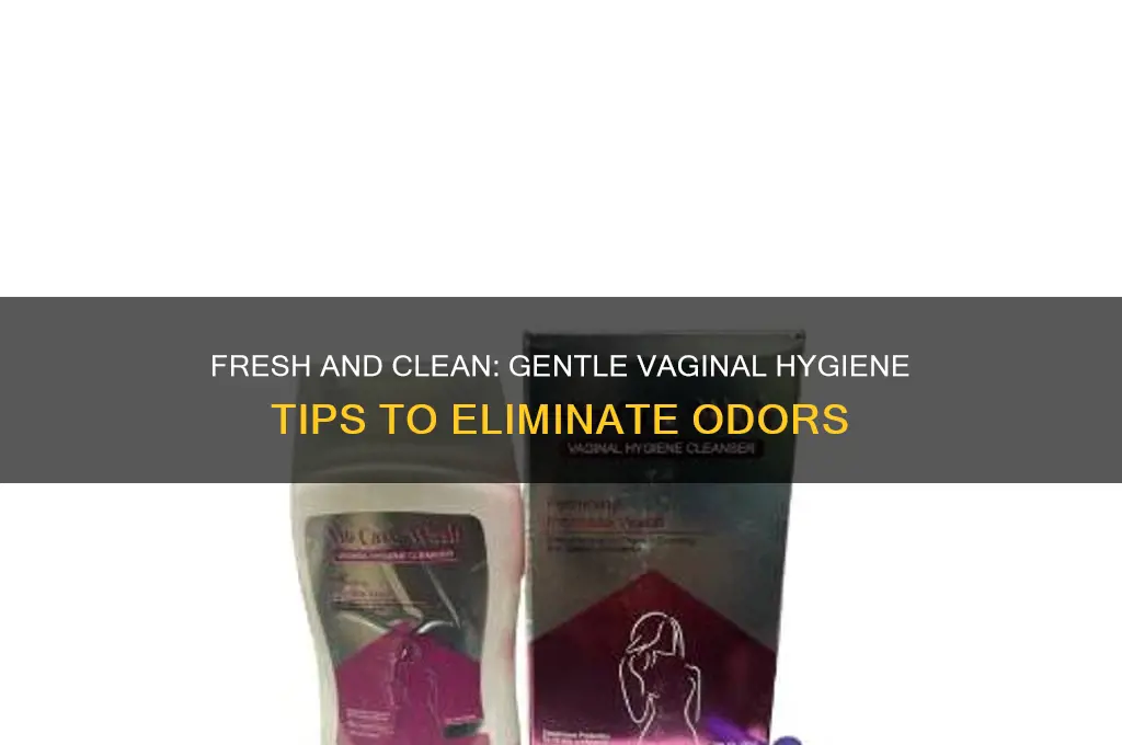 how to clean vagina to get rid of scent