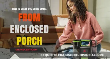 Effective Tips to Eliminate Dog Urine Odor from Your Enclosed Porch