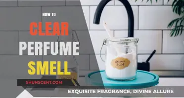 Clear Lingering Scents: Tips to Remove Perfume Odor