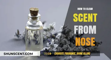 Effective Ways to Clear Lingering Scents from Your Nose Quickly