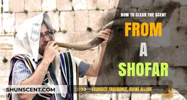 Effective Methods to Remove Unwanted Odors from Your Shofar
