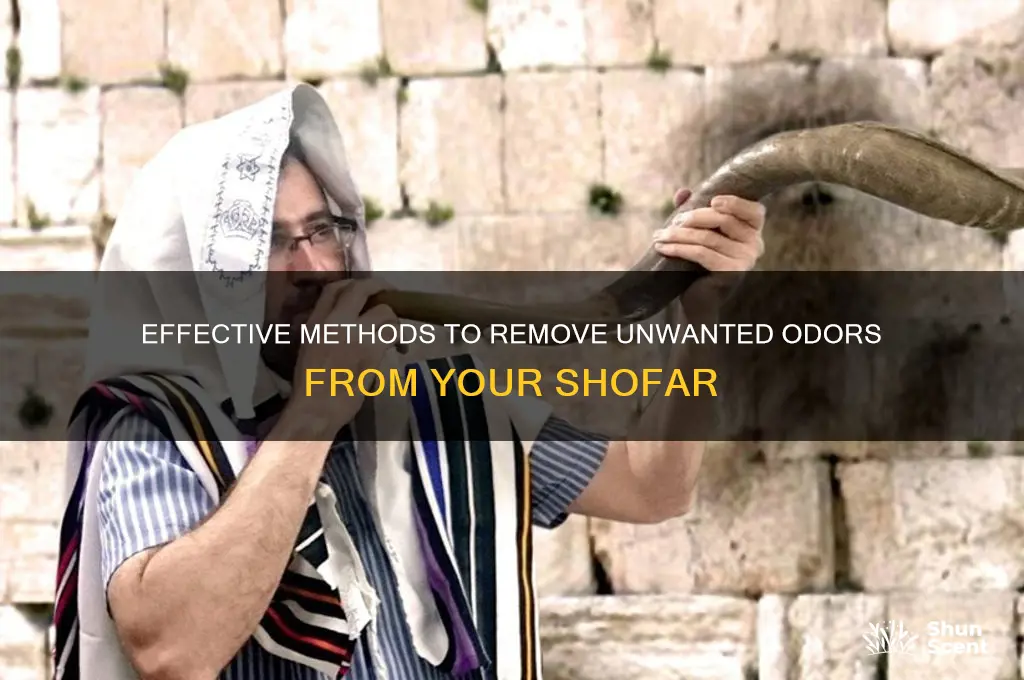how to clear the scent from a shofar