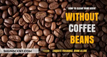 Freshen Your Scent: Alternative Ways to Reset Your Smell Without Coffee Beans