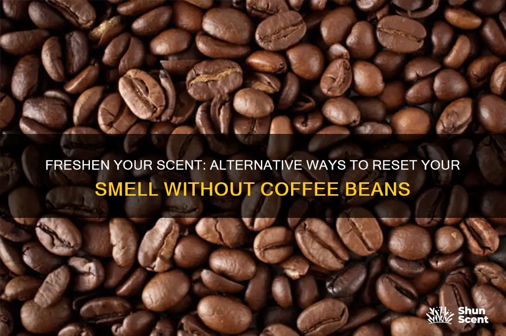 how to clear your scent without coffee beans
