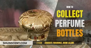 Collecting Perfume Bottles: A Beginner's Guide to Scent and Style