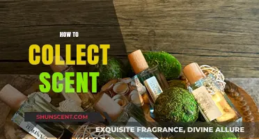 Mastering the Art of Capturing and Preserving Natural Scents