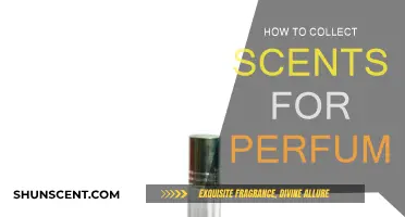 The Art of Scent Collection for Perfumes
