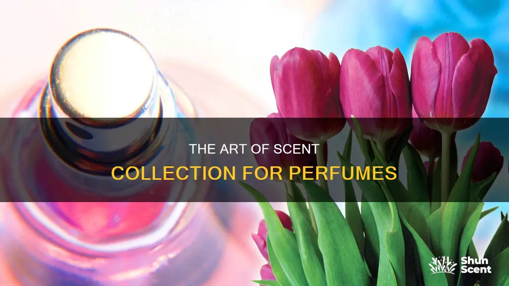 how to collect scents for perfumes