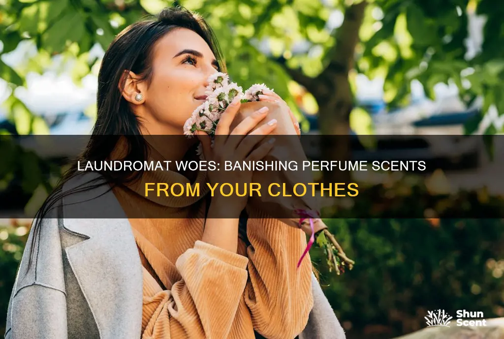 how to combat perfume smell from laundromat clothes washer