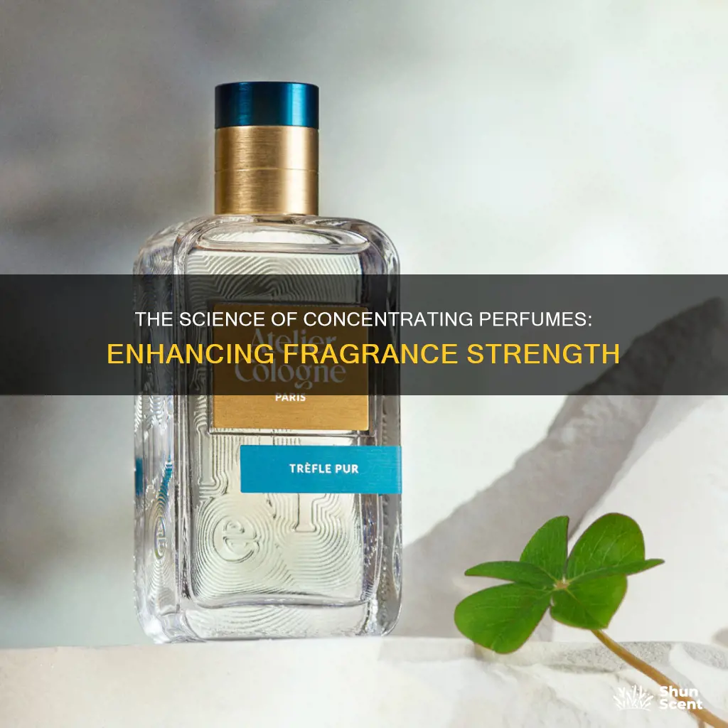 how to concentrate perfume