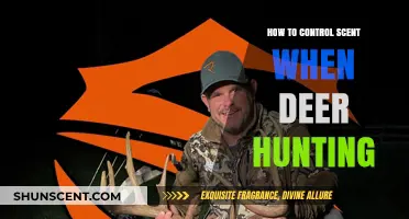 Mastering Scent Control: Essential Tips for Successful Deer Hunting