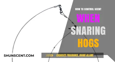 Effective Scent Control Techniques for Successful Hog Snaring Strategies