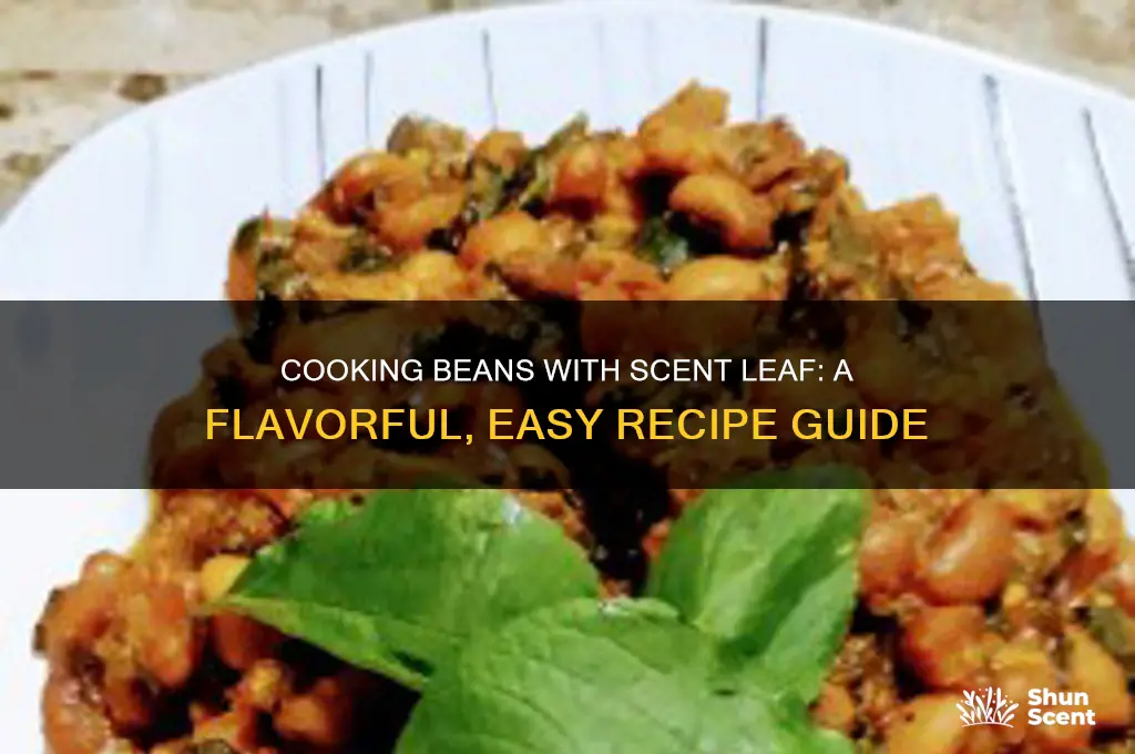how to cook beans with scent leaf