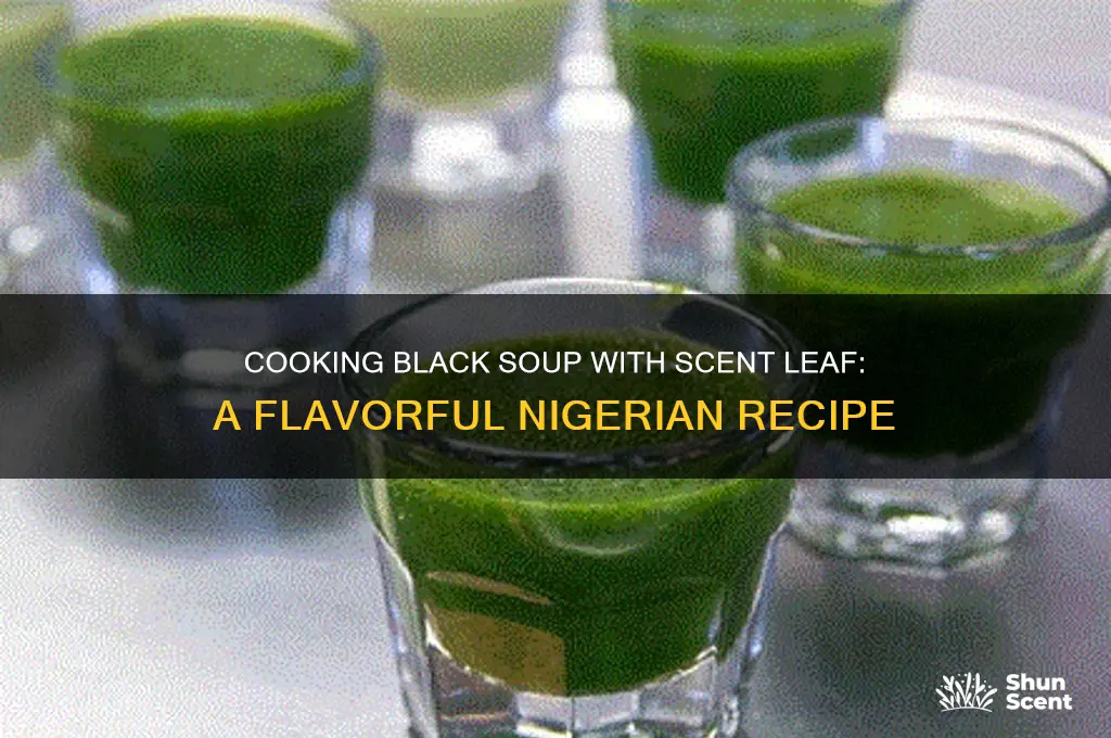 how to cook black soup with scent leaf