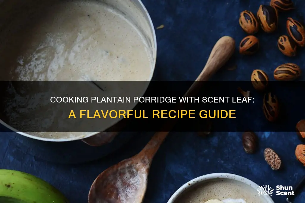 how to cook plantain porridge with scent leaf