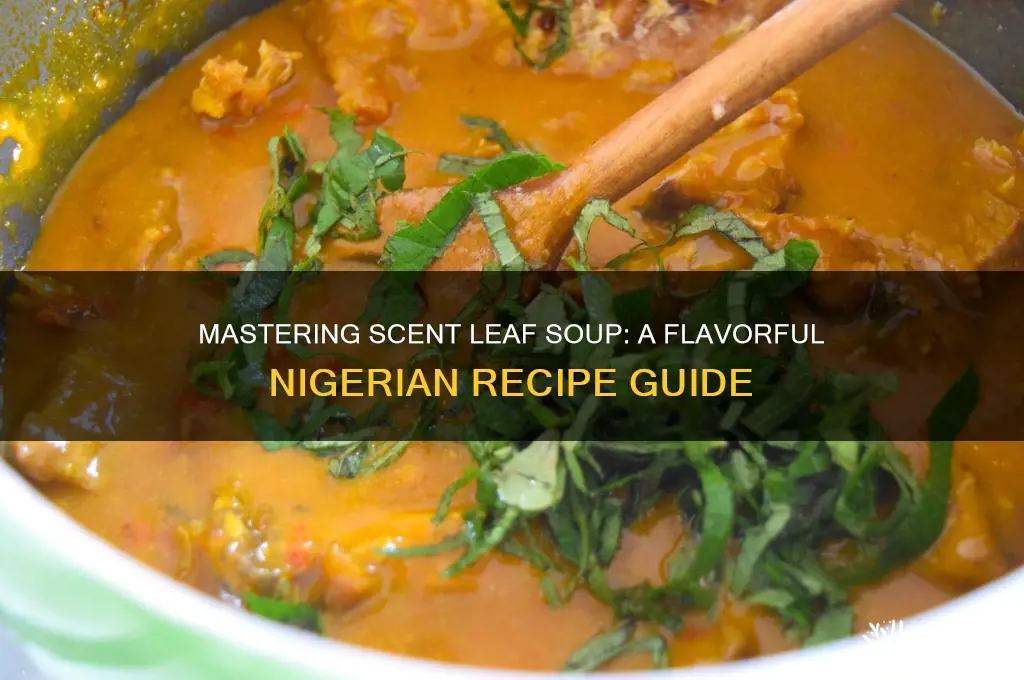 how to cook scent leaf soup