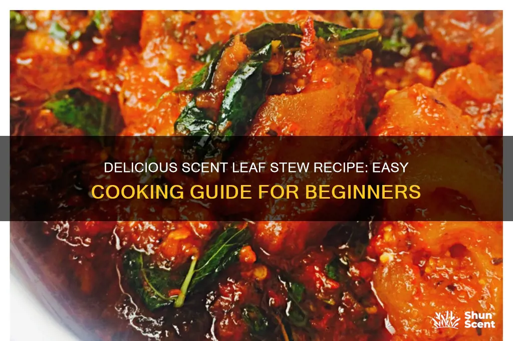 how to cook scent leaf stew