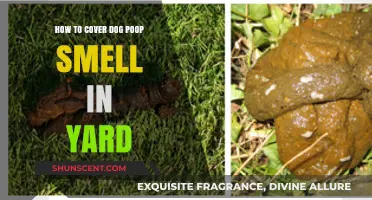 Effective Ways to Neutralize Dog Poop Odor in Your Yard