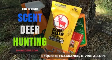 Mastering Scent Control: Essential Deer Hunting Stealth Techniques Revealed