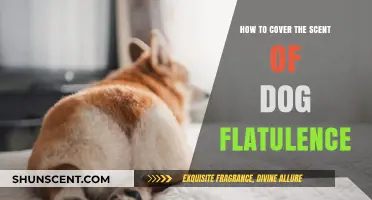 Eliminate Dog Gas Odors: Quick Fixes for Fresh-Smelling Homes