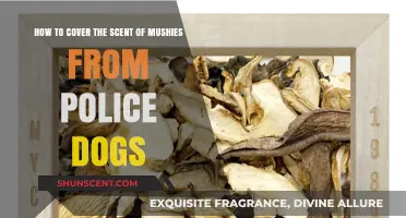 Concealing Mushroom Scents: Effective Strategies to Evade Police Canine Detection