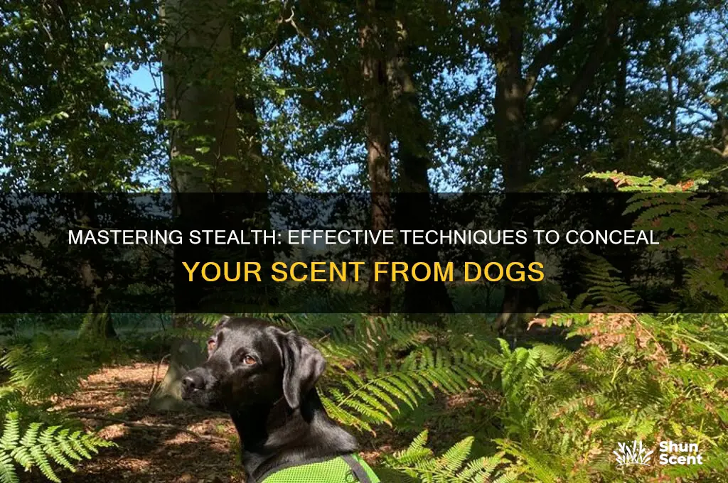 how to cover your scent from dogs