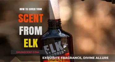 Mastering Stealth: Effective Techniques to Conceal Your Scent from Elk